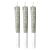 PINEAPPLE BUDS - Pineapple Soda Pre-Rolls 3x0.5g