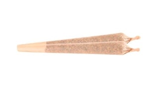 Panama Gold 2 x 1g Pre-Rolls