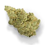 Versus | White Widow Sativa | 28g Flower
