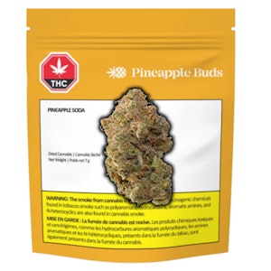 Pineapple Buds - Pineapple Buds Pineapple Soda 7g