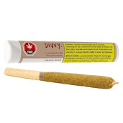 Island Rush 1 x 1g Infused Pre-Roll