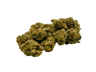 Green Mountain Health Alliance - MANGOZ - 14G