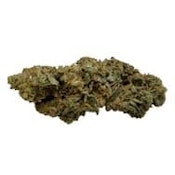 HYBRID FLOWER-GAS NASTY - 3.5