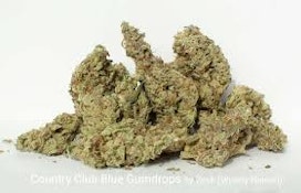 BOOK CLUB - BLUE GUMDROPS - 14 GRAMS