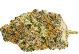 GORILLA MILK - 3.5