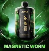 Magnetic Worm