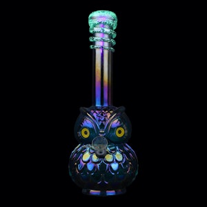 West Coast Gifts - 12" Owl Bong