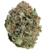 Comatose 3.5g Dried Flower