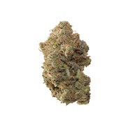PINEAPPLE BUDS - PINEAPPLE SODA - 7 GRAM