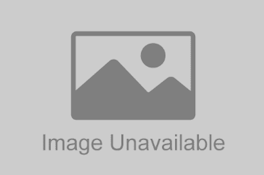 Maven - Popper Torches