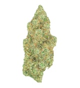 Critical Diesel - 3.5g