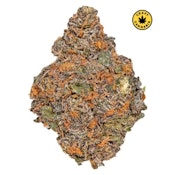 Beaver Tail 7g Dried Flower