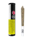 Comatose Pre-Roll 5x0.5g