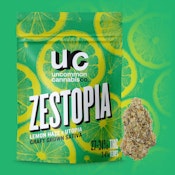 Zestopia 3.5g Dried Flower