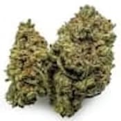 GREEN MOUNTAIN HEALTH ALLIANCE - GORILLA ZKITTLEZ DRIED FLOWER - 14 GRAM