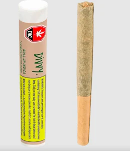 Divvy - Roll Up Sativa Pre-Roll | 1x1g