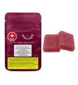 Real Fruit Pomegranate Gummies 1:1 THC:CBD | 2 Pack