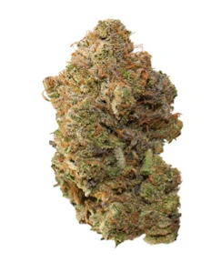 Pineapple Buds - PINEAPPLE SODA - 7