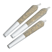 Guavacot Kush Live Rosin 3 x 0.5g Infused Pre-Rolls