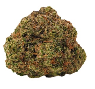 BOLD - COOL AID KUSH - 3.5g