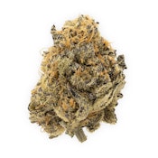 HERBAL DISPATCH- MEAT BREATH FLOWER- 7G