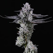 BC Organic Grape Cream Cake 28g Dried Flower