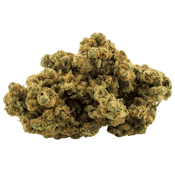 Galactic Glue 14g Dried Flower