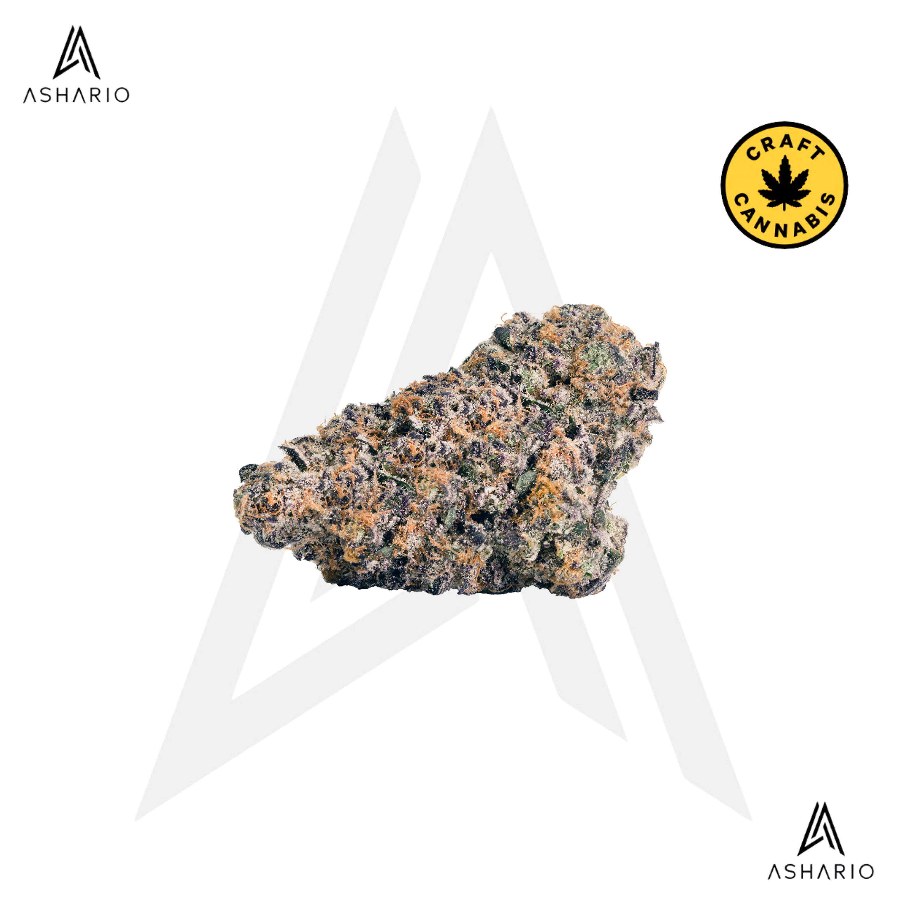 BLKMKT - Rainbow P | 14g Main Image