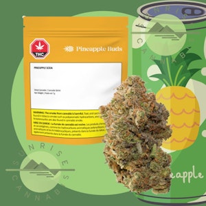 Pineapple Buds - PINEAPPLE SODA - PINEAPPLE BUDS - 7G