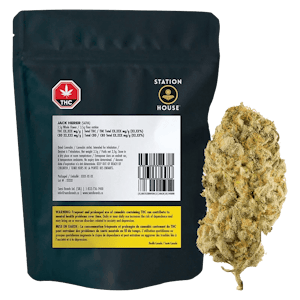Station House - Station House Jack Herer - 14g