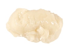 Dabble x Creative Earth | GMO Live Hash Rosin | 1 x 1 g
