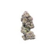 GASTROPOP - 28