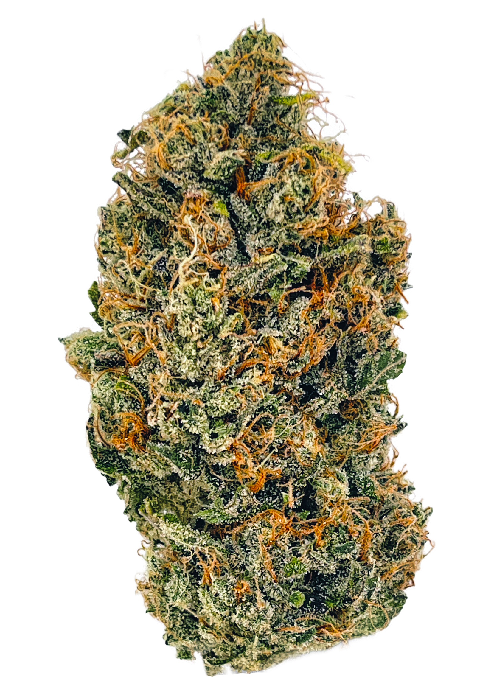 Supernova Farms - Maui Wowie 3.5g Dried Flower by Supernova Farms Main Image