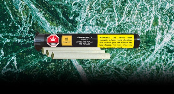 High Quadz - Animal Mints 3 x 0.5g Pre-Rolls by High Quadz