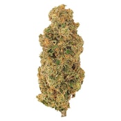 Roadkill Skunk - Mendo Select - 7g