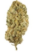 JACK HERER | Station House 14g Flower | Elevate