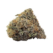 Gas n' Up 3.5g