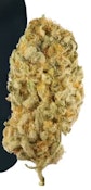 JACK HERER - 14