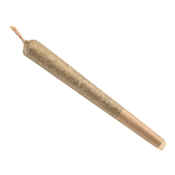 Tropical Hazy Daze 1 x 1g