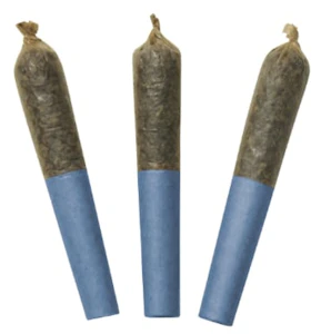 Dab Bods - Blue Lobster 60's+ 3 x 0.5g Resin & Diamond Infused