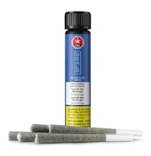Alpine Glue 5 X 0.5G