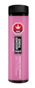 Cherry Watermelon Disposable 1G