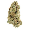 Animal Rntz 14g Dried Flower