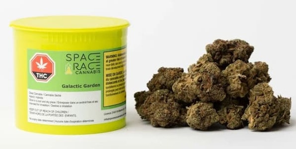 SPACE RACE CANNABIS - Galactic Garden 14g Dried Flower