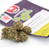 Magi - Hippie Sudz (5g)