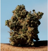 Magi - Hippie Diesel (14g)