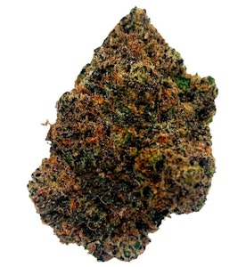 Potluck - Beaver Tail