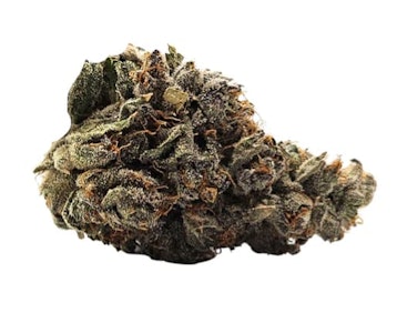 MTL Cannabis - MTL Cannabis - 91 Ox (3.5g)