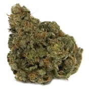 The Loud Plug - Exotic Gas - 3.5g