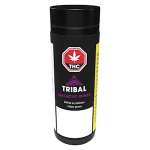 Tribal - Tribal - Galactic Rntz Pre-Roll - 5x0.6g